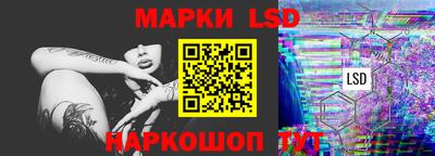 шишки Кимры
