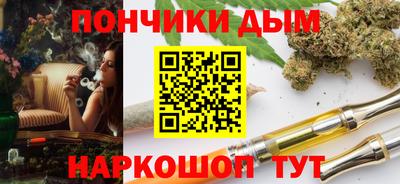 шишки Кимры