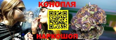 шишки Кимры