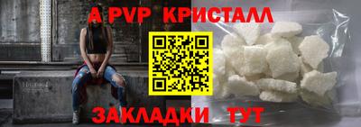 шишки Кимры