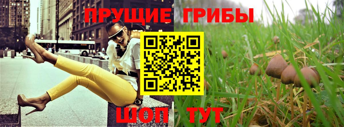 Псилоцибиновые грибы Magic Shrooms  Вход с VPN  Галлюциногенные грибы ЛСД  Куйбышев 
